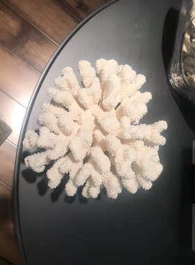 现代时尚白色珊瑚透明底座盆景石