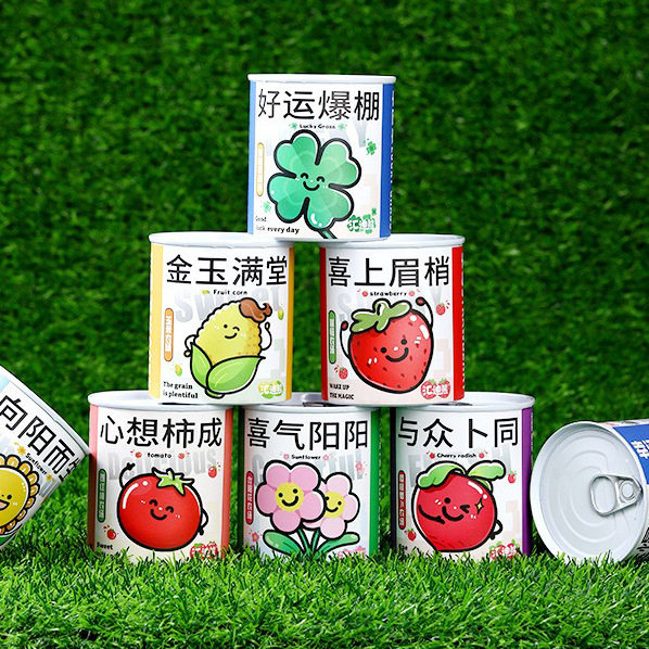 创意新年春节礼物幼儿园儿童节奖品小礼品全班学生日伴手礼小盆栽