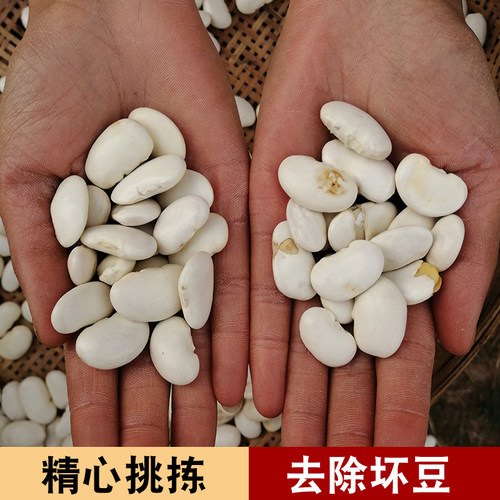 云南大白芸豆1000克肾腰豆云豆种子大白豆白扁豆杂粮嚼阻断膳食纤-图0