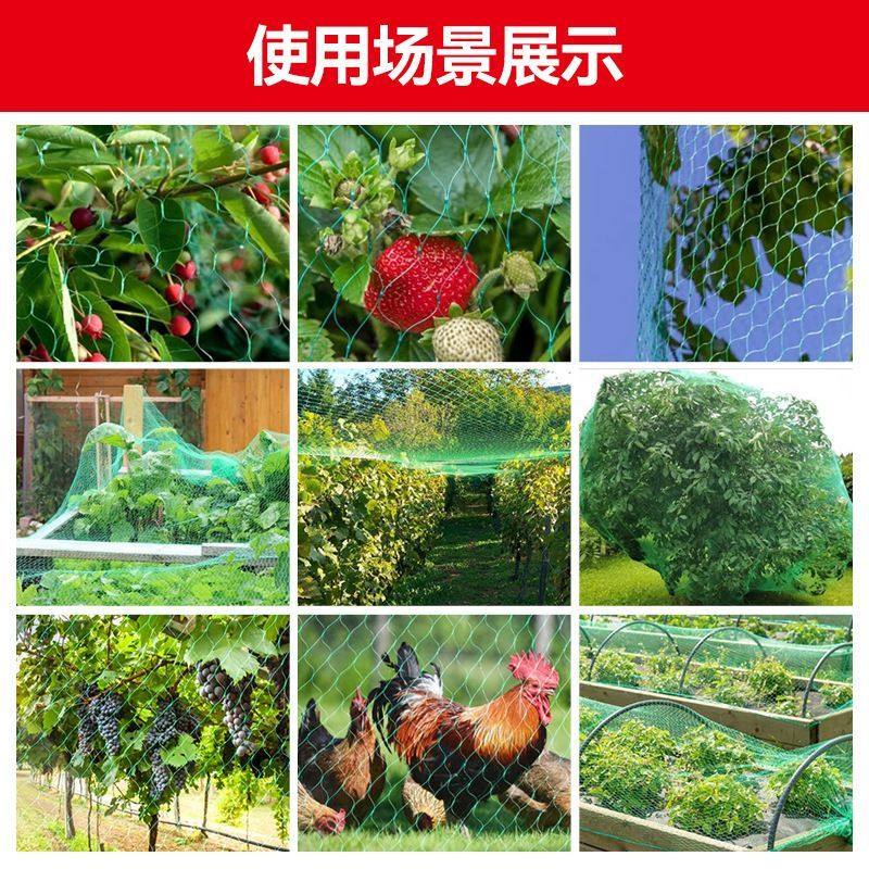 新款无结果园防鸟网罩家用防护网葡萄苹果桃树专用防鸟网农用网,淘宝优惠券,粉丝福利购,淘宝优惠卷