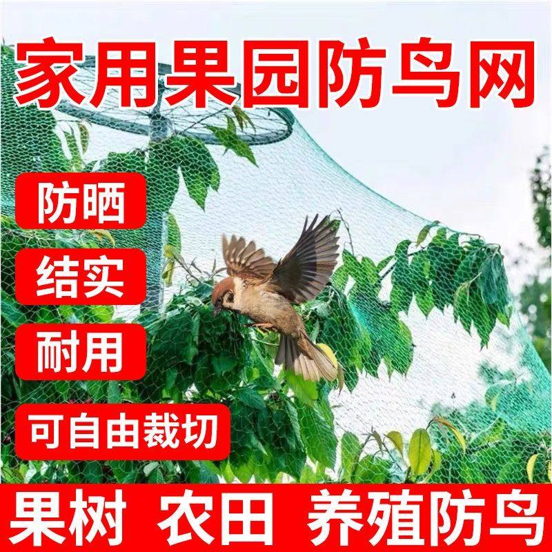新款无结果园防鸟网罩家用防护网葡萄苹果桃树专用防鸟网农用网,淘宝优惠券,粉丝福利购,淘宝优惠卷