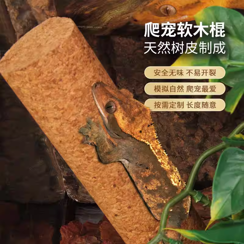 R属巨人盖勾亚睫角守宫树蛙攀爬软木棒树栖爬宠软木果茶棍造景藤,淘宝优惠券,粉丝福利购,淘宝优惠卷