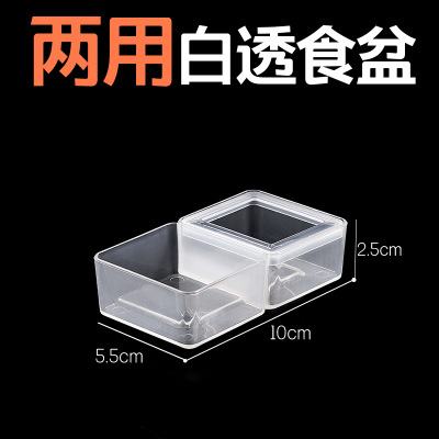 爬宠防逃二合一两用食盆水盆守宫鬃狮蜥蜴面包虫杜比亚喂食饮水盆,淘宝优惠券,粉丝福利购,淘宝优惠卷