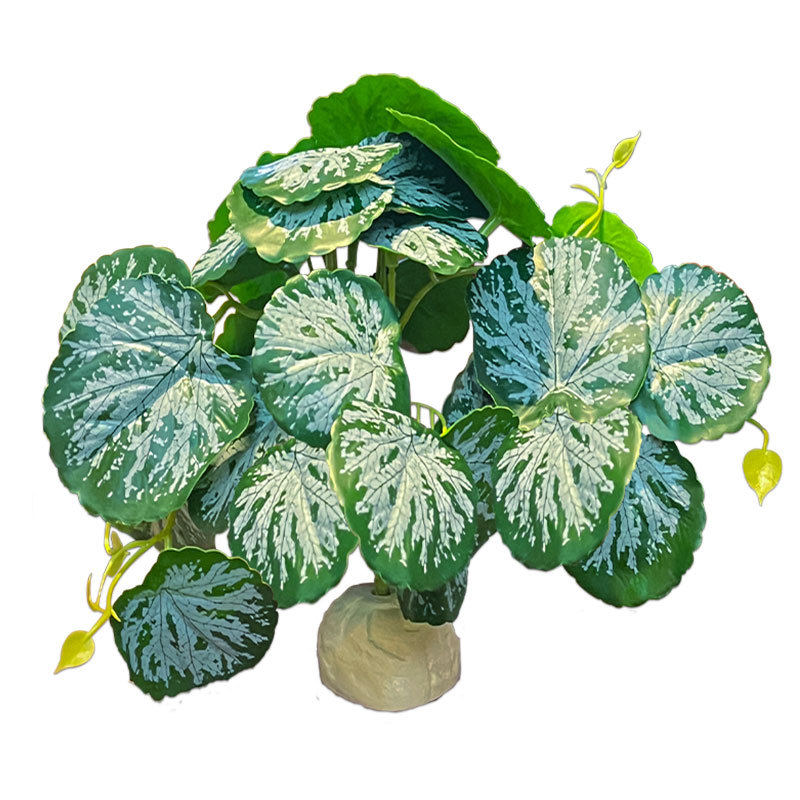爬虫箱造景仿真植物水陆生态雨林缸陆龟蜥蜴守宫植物摆件盆景装饰,淘宝优惠券,粉丝福利购,淘宝优惠卷