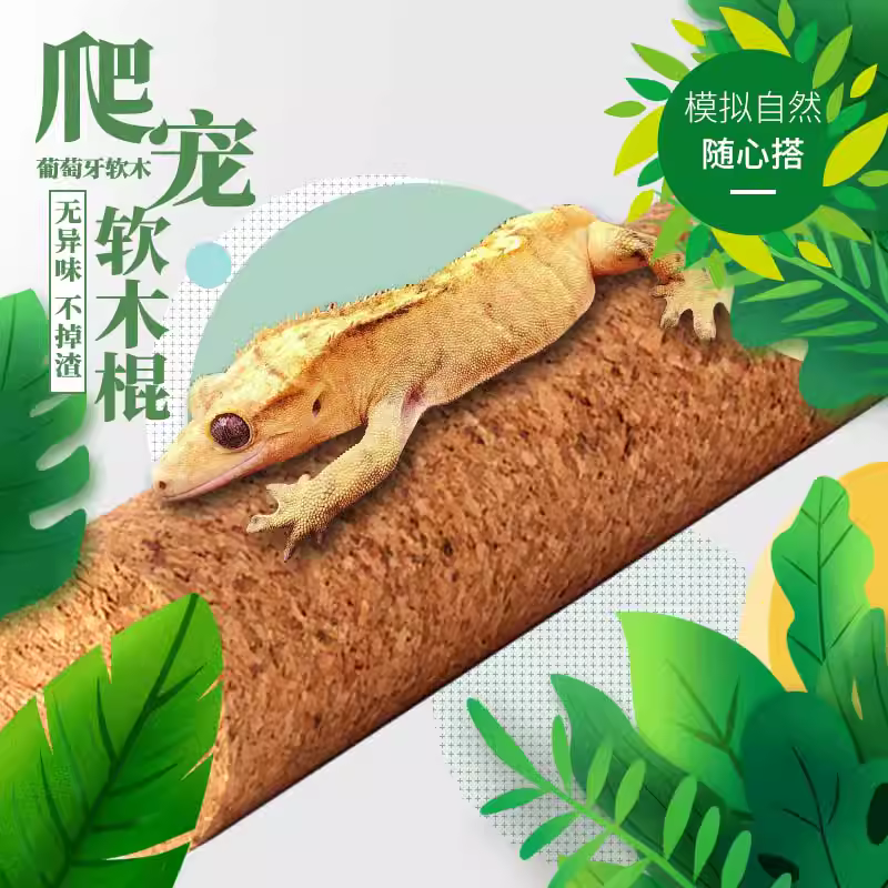 R属巨人盖勾亚睫角守宫树蛙攀爬软木棒树栖爬宠软木果茶棍造景藤,淘宝优惠券,粉丝福利购,淘宝优惠卷