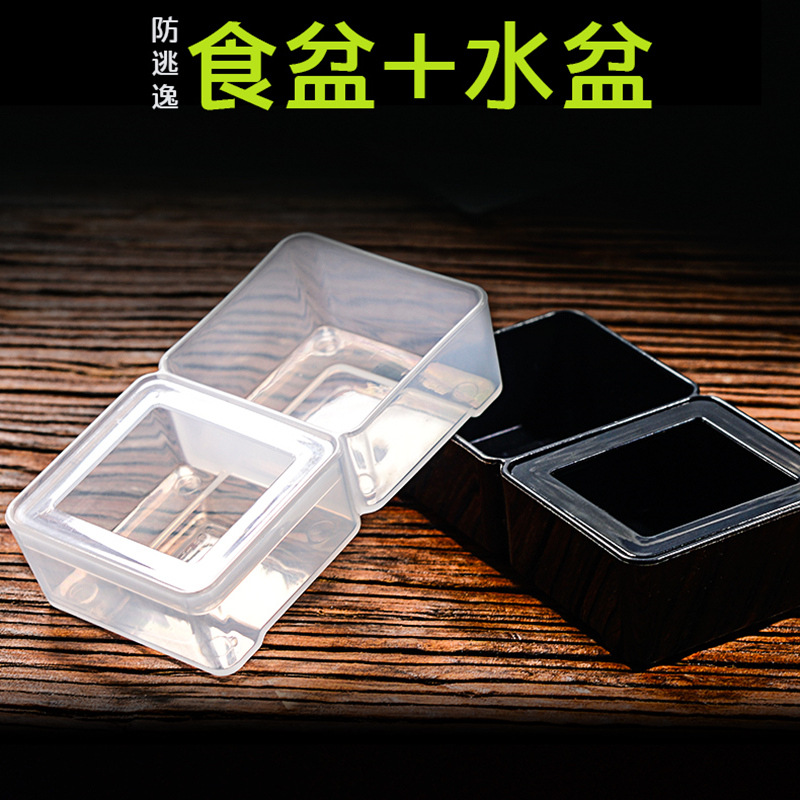 爬宠防逃二合一两用食盆水盆守宫鬃狮蜥蜴面包虫杜比亚喂食饮水盆,淘宝优惠券,粉丝福利购,淘宝优惠卷