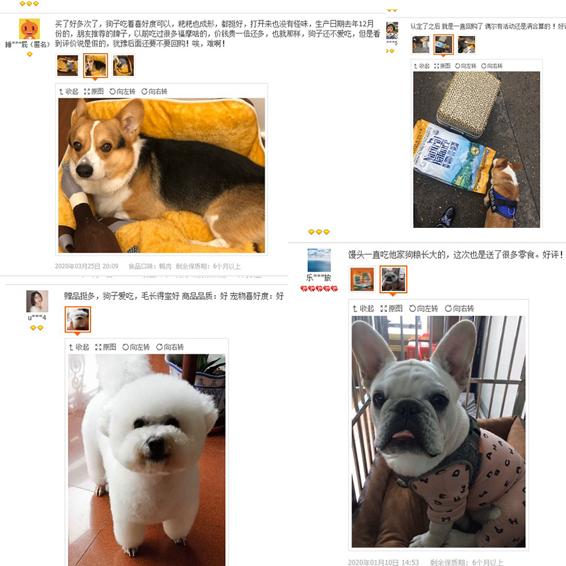 阿猫犬 雪山狗粮鸭薯28磅金毛柯基天然粮泰迪成幼犬美毛中小型犬 - 图1