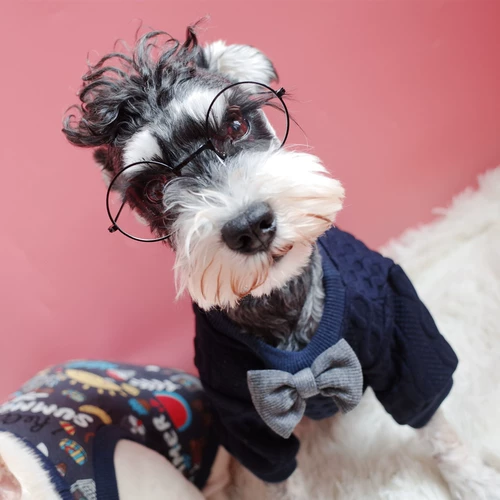 ПЭТ круговые очки собачьи очки фото декоративные очки Fadou Стала Sheronori