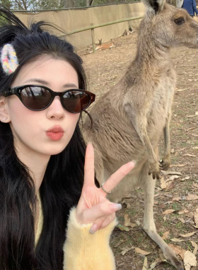 男女同款时尚百搭太阳镜