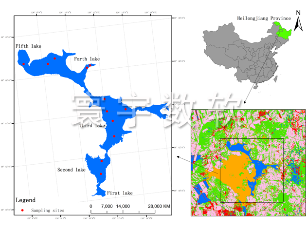 GIS代做图arcgis代画矢量shp数据地图订制envi遥感webgis开发系统-图3