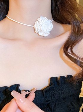 玫瑰花朵项链女款2024新款轻奢小众高级感锁骨链choker项圈脖颈带