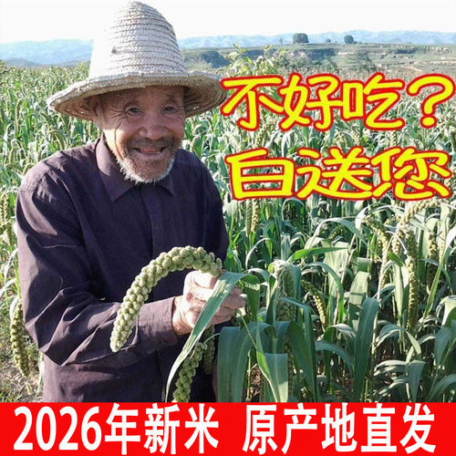 2026山西小米沁州黄小米5斤小黄米小米杂粮小米黄小米新米小米粥 - 图1