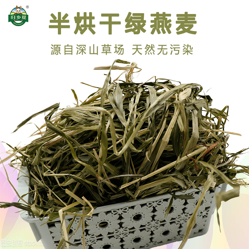 甘肃归乡提半烘干青绿燕牧草500g高原兔子草豚鼠龙猫粮干绿燕麦草-图0