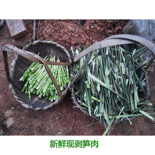 江西新鲜小竹笋野生春笋现挖笋应季带壳甜笋小笋嫩尖水竹笋山竹笋 - 图2