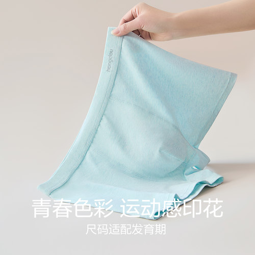 红豆青少年内裤男纯棉抗菌裆A类10-19岁发育期初中高中学生平角裤 - 图3