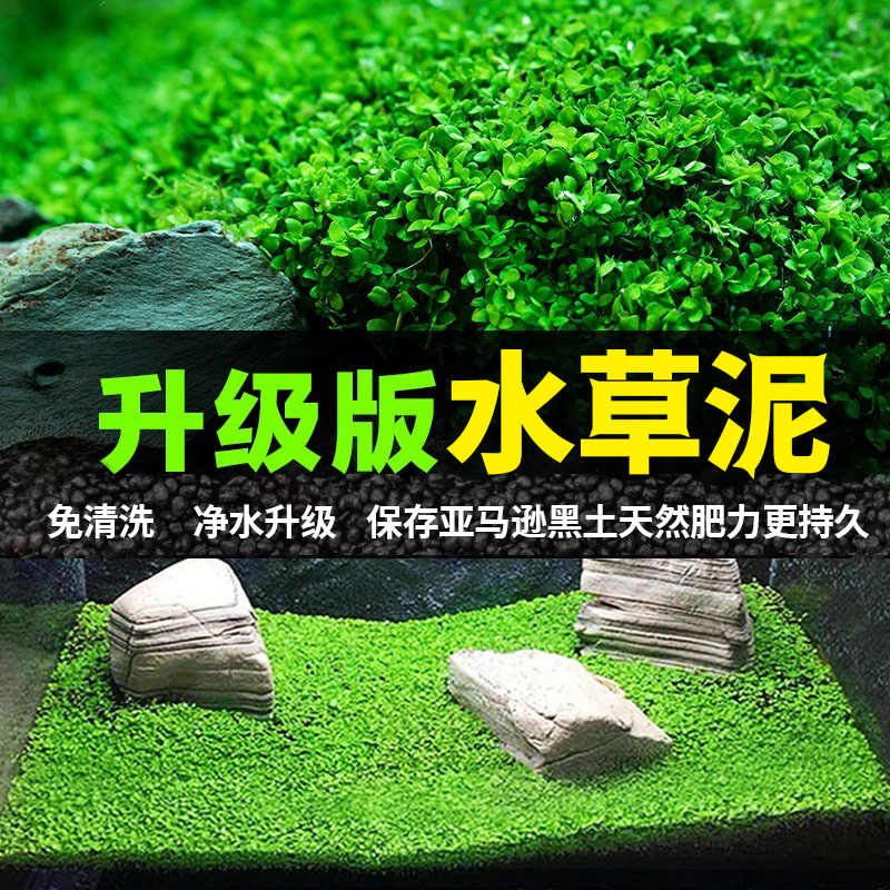 水草泥造景 新人首单立减十元 22年9月 淘宝海外