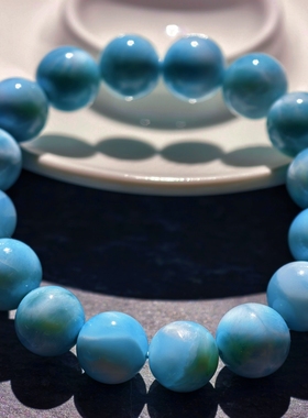 盖亚回声 天然7A级玉化龟背海纹石手链12mm海纹石水晶手串定制款