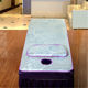 Massage bed beauty salon ice silk mat special price