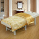 Winter Thickened Beauty Bed Physiotherapy Spring and Autumn Quilt