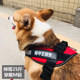 Dog leash harness free customized word plate