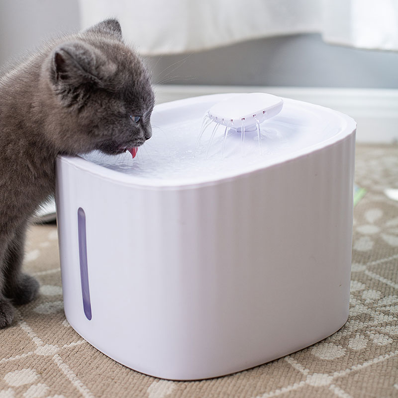 猫咪饮水机自动喂水饮水器流动水不插电恒温加热活水宠物喝水神器 - 图0