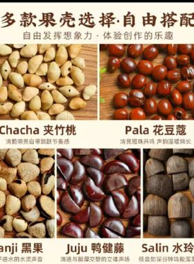 diy天然果壳材料包