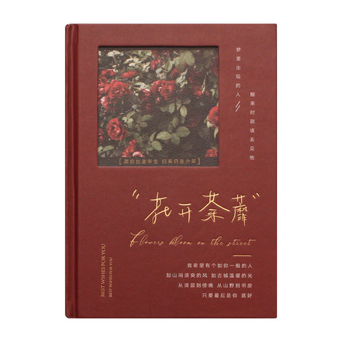 文艺笔记本子ins高颜值学生加厚硬壳日记本小清新横线摘抄记录本 - 图3