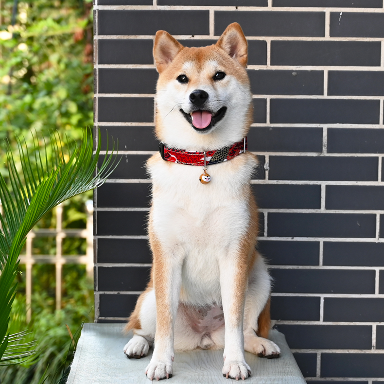 激光刻字定制合金插扣和风日系唐草纹樱花宠物狗柴犬项圈脖套颈圈 - 图1