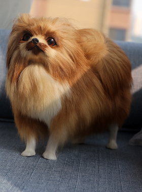 博美犬模型桌面摆件手工艺品