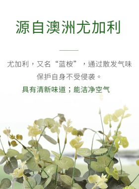 嘉媚乐澳洲尤加利精油净化空气