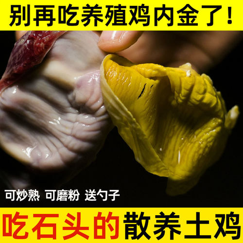农家生鸡内金儿童调理脾胃土鸡内金中药材生片生鸡内金粉250g包邮 - 图0