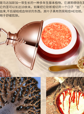 益若翼龙血膏50g 持久补水保湿轻盈滋润不油腻紧致淡化细纹清爽