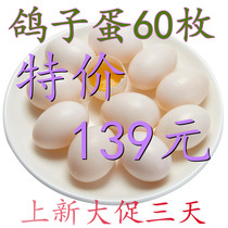 Fresh Pigeon Eggs 60 Now Collected for Grocery Food Feeding Pregnant pregnant women Elderly Deputy Food Pigeon Plant Straight Hair High Nutrition