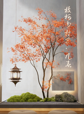 海虹景观室内假树景观植物鸡爪槭