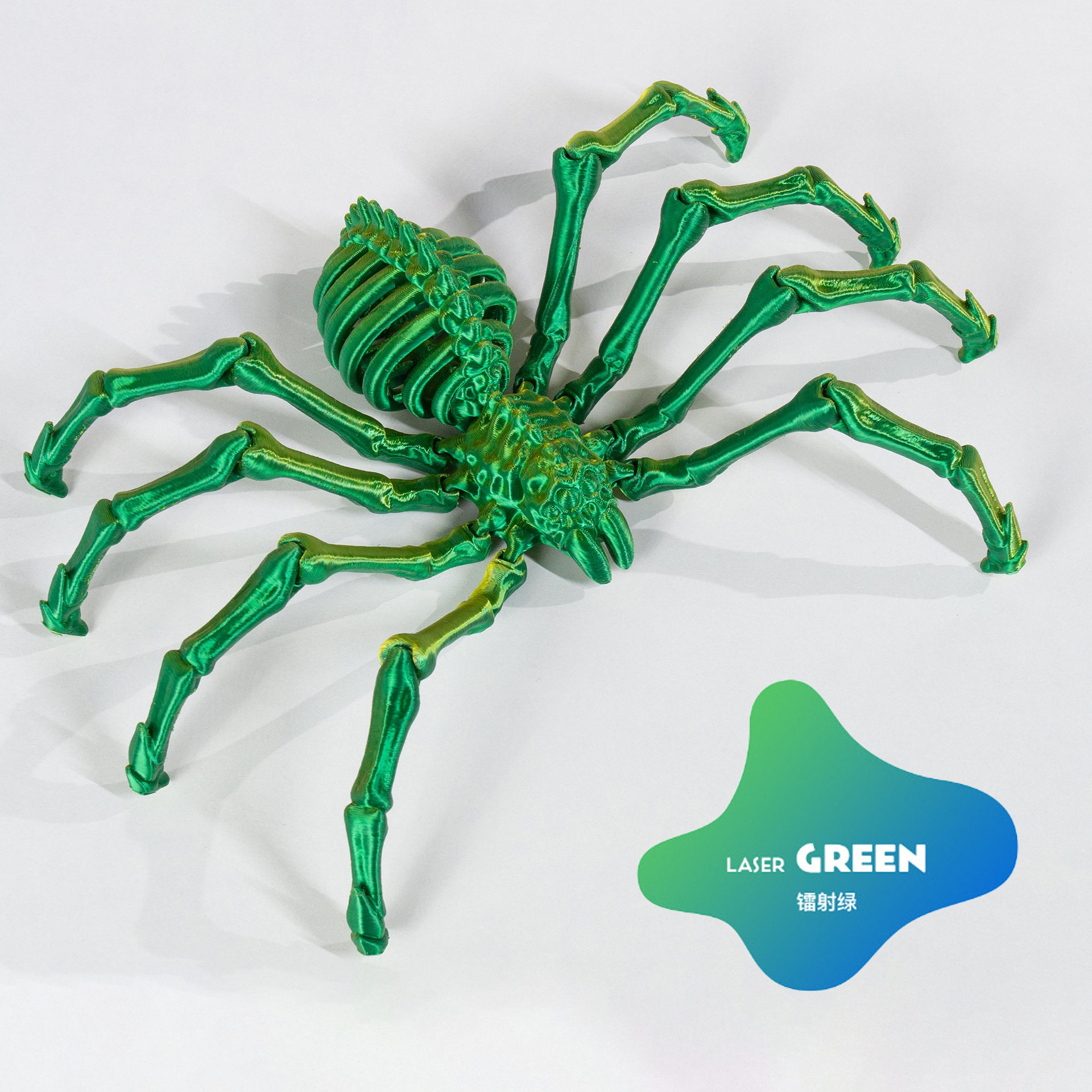 蜘蛛骨架夜光蜘蛛狼蛛炫酷仿真模型玩具收缩动物可活动关节3d打印 - 图3