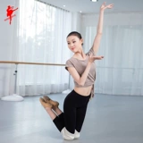 红舞鞋 Поролоновые танцующие спортивные волейбольные демисезонные удерживающие тепло наколенники подходит для мужчин и женщин, увеличенная толщина, для бега