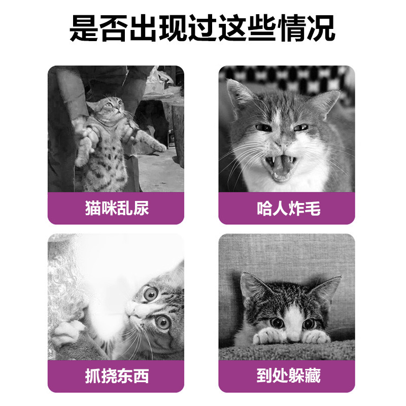 猫咪喷雾 费乐蒙猫用防应激信息素情绪安抚喷剂 猫传医生推荐 - 图0