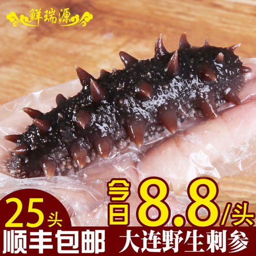大连即食海参 单个装 辽刺参高压真空水发海生老年孕妇特产送礼品 - 图2
