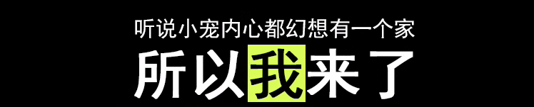 蚕宝宝活体饲养盒爬宠饲养盒蜘蛛守宫蜥蜴蝎子蜈蚣角蛙甲虫饲养箱 - 图2