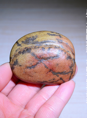 天然大湾石原石奇石观赏石