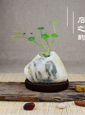 HP016天然原石复古北欧金铜钱草绿萝多肉水养石头花盆花器插花瓶