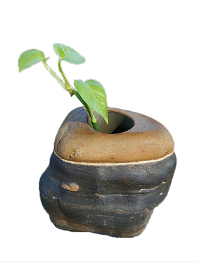 石头石质水培复古装饰绿萝铜钱草