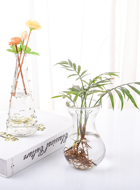 透明水培植物容器绿萝客厅小花瓶