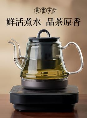 纯钛电热烧水煮茶全自动底部上水