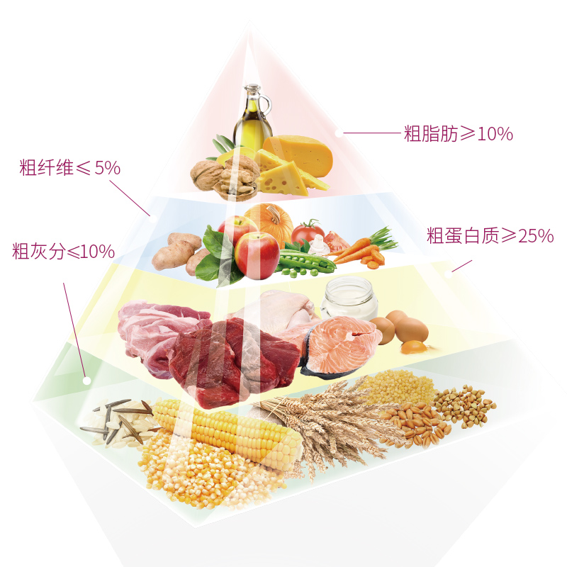 诺瑞老年犬狗粮2.2kg 呵护高龄老年犬 添葡萄糖胺 颗粒小易食消化 - 图2