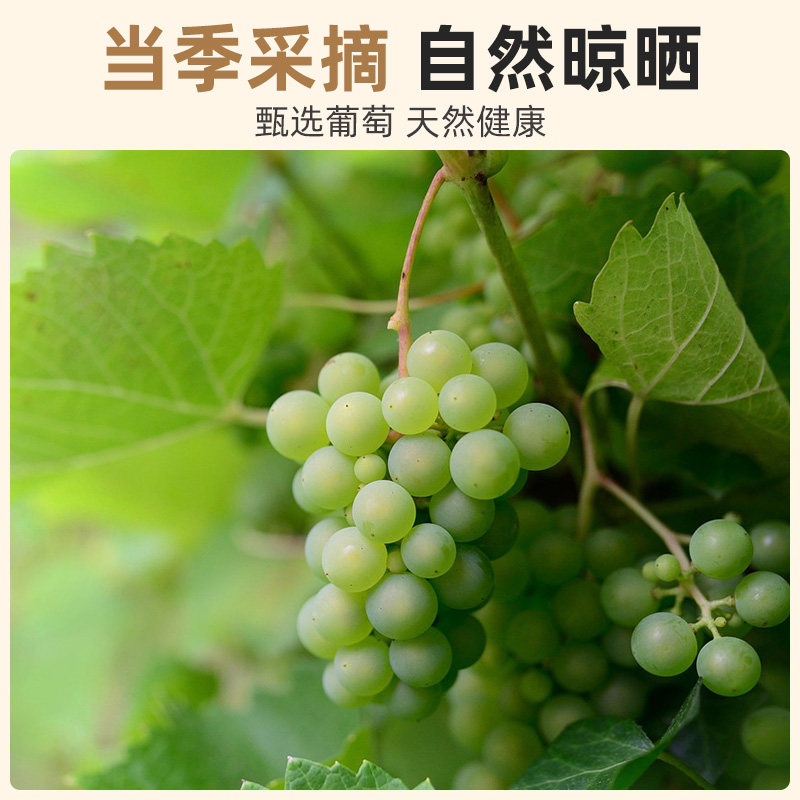  东之道食品葡萄干