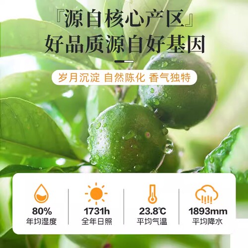 10年15年正宗新会陈皮泡水十年老陈皮干陈皮茶广东特产官方旗舰店