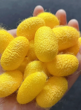 蚕丝扇可抽丝蚕茧抽丝剥茧