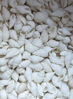 迷你小海螺修曼茶罗宝石供曼扎宝石七宝小白海螺七宝石一份50g