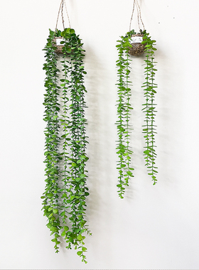 北欧ins金钱草仿真花绿植吊篮